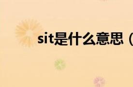 sit是什么意思（sing是什么意思）