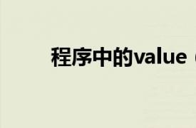 程序中的value（value 程序意思）