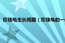 珍珠龟生长周期（珍珠龟的一般寿命为几年相关内容简介介绍）