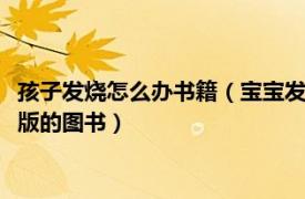 孩子发烧怎么办书籍（宝宝发烧怎么办 2000年人民中国出版社出版的图书）