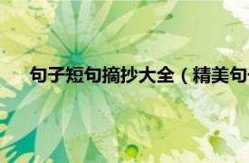 句子短句摘抄大全（精美句子摘抄短句相关内容简介介绍）