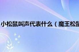 小松鼠叫声代表什么（魔王松鼠的叫声的含义相关内容简介介绍）