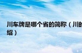 川车牌是哪个省的简称（川的车牌号属于哪个省相关内容简介介绍）