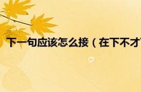 下一句应该怎么接（在下不才下一句怎么接相关内容简介介绍）