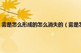 雾是怎么形成的怎么消失的（雾是怎么形成的和消失的相关内容简介介绍）