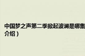 中国梦之声第二季掀起波澜是哪集（中国梦之声波澜哥是哪期相关内容简介介绍）