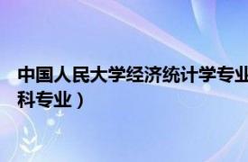 中国人民大学经济统计学专业（经济统计学 中国普通高等学校本科专业）