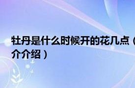 牡丹是什么时候开的花几点（牡丹花什么时候开几点相关内容简介介绍）