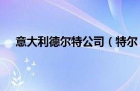 意大利德尔特公司（特尔 意大利TER集团的汉译名称）