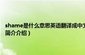 shame是什么意思英语翻译成中文（shame是什么意思中文翻译相关内容简介介绍）