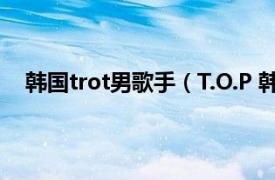 韩国trot男歌手（T.O.P 韩国流行乐男歌手、影视演员）