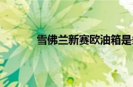 雪佛兰新赛欧油箱是多少升（雪佛兰新赛欧）