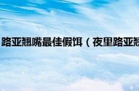 路亚翘嘴最佳假饵（夜里路亚翘嘴用什么假饵相关内容简介介绍）