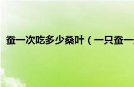 蚕一次吃多少桑叶（一只蚕一天吃多少桑叶相关内容简介介绍）