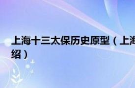 上海十三太保历史原型（上海十三太保原型是谁相关内容简介介绍）