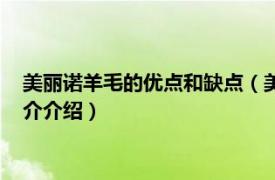 美丽诺羊毛的优点和缺点（美丽诺羊毛的特点是什么相关内容简介介绍）