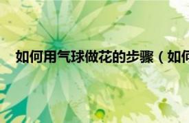 如何用气球做花的步骤（如何用气球做花相关内容简介介绍）