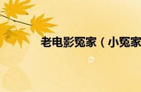 老电影冤家（小冤家 1956年冯峰执导电影）