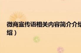 微商宣传语相关内容简介介绍文案（微商宣传语相关内容简介介绍）