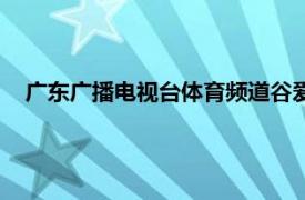 广东广播电视台体育频道谷爱凌（广东广播电视台体育频道）