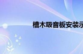 槽木吸音板安装示意图（槽木吸音板）