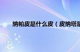 纳帕皮是什么皮（皮纳塔是什么东西相关内容简介介绍）