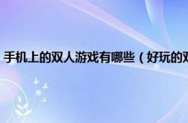 手机上的双人游戏有哪些（好玩的双人手机游戏有哪些相关内容简介介绍）