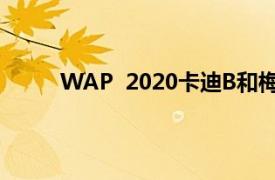 WAP  2020卡迪B和梅根维斯特斯塔连演唱歌曲