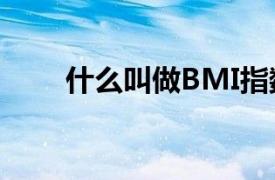 什么叫做BMI指数（什么叫做bmi）