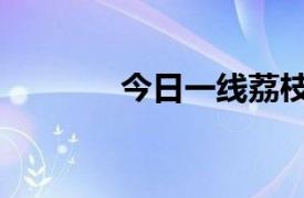 今日一线荔枝网（今日一线）