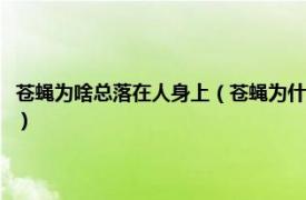 苍蝇为啥总落在人身上（苍蝇为什么老是喜欢落在人身上相关内容简介介绍）