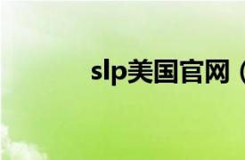 slp美国官网（美国SL服务器）