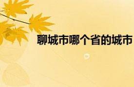 聊城市哪个省的城市（聊城是哪个省的城市）