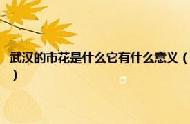 武汉的市花是什么它有什么意义（武汉市的市花是什么花相关内容简介介绍）