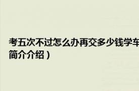 考五次不过怎么办再交多少钱学车（驾考5次不过可以花点钱买吗相关内容简介介绍）