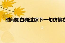 时间如白驹过隙下一句仿佛在昨日（时间如白驹过隙下一句）