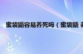 蜜袋鼯容易养死吗（蜜袋鼯 养熟会逃走吗相关内容简介介绍）