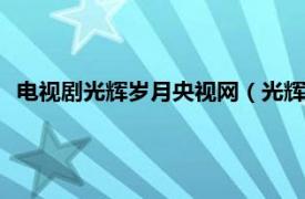 电视剧光辉岁月央视网（光辉岁月 2008年王新民导演电视剧）