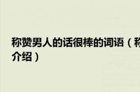 称赞男人的话很棒的词语（称赞男人的话很棒的话相关内容简介介绍）