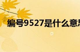 编号9527是什么意思（9527是什么意思）