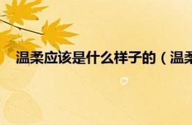 温柔应该是什么样子的（温柔是什么样子相关内容简介介绍）