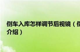 倒车入库怎样调节后视镜（倒车入库后视镜怎么调相关内容简介介绍）