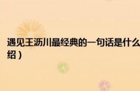 遇见王沥川最经典的一句话是什么（遇见王沥川的经典语录相关内容简介介绍）