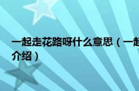 一起走花路呀什么意思（一起走花路吧是什么意思相关内容简介介绍）