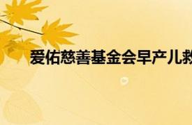 爱佑慈善基金会早产儿救助基金（爱佑慈善基金会）