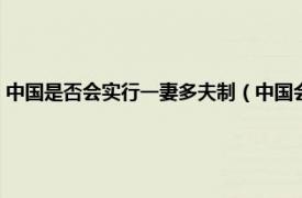 中国是否会实行一妻多夫制（中国会实行一妻多夫制吗相关内容简介介绍）