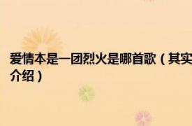 爱情本是一团烈火是哪首歌（其实爱情本是一团烈火是什么歌相关内容简介介绍）