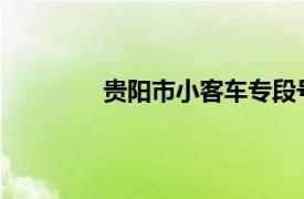 贵阳市小客车专段号牌管理信息系统网址