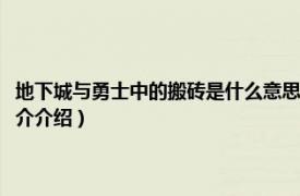 地下城与勇士中的搬砖是什么意思（地下城与勇士搬砖什么意思相关内容简介介绍）