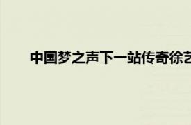 中国梦之声下一站传奇徐艺洋（中国梦之声下一站传奇）